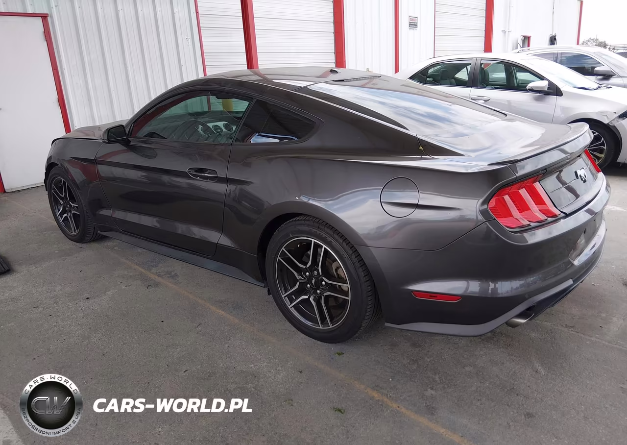 2019 Ford Mustang Ecoboost Premium VIN:1FA6P8TH0K5169095 - 3