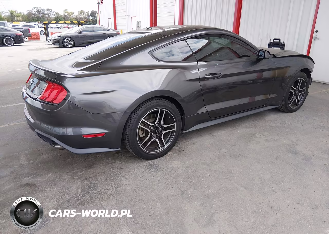 2019 Ford Mustang Ecoboost Premium VIN:1FA6P8TH0K5169095 - 4