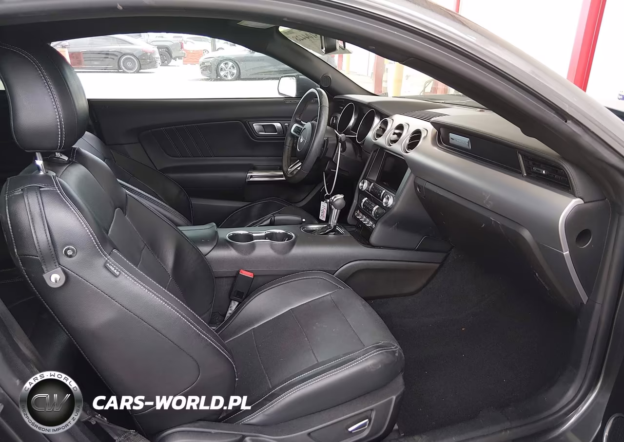2019 Ford Mustang Ecoboost Premium VIN:1FA6P8TH0K5169095 - 5