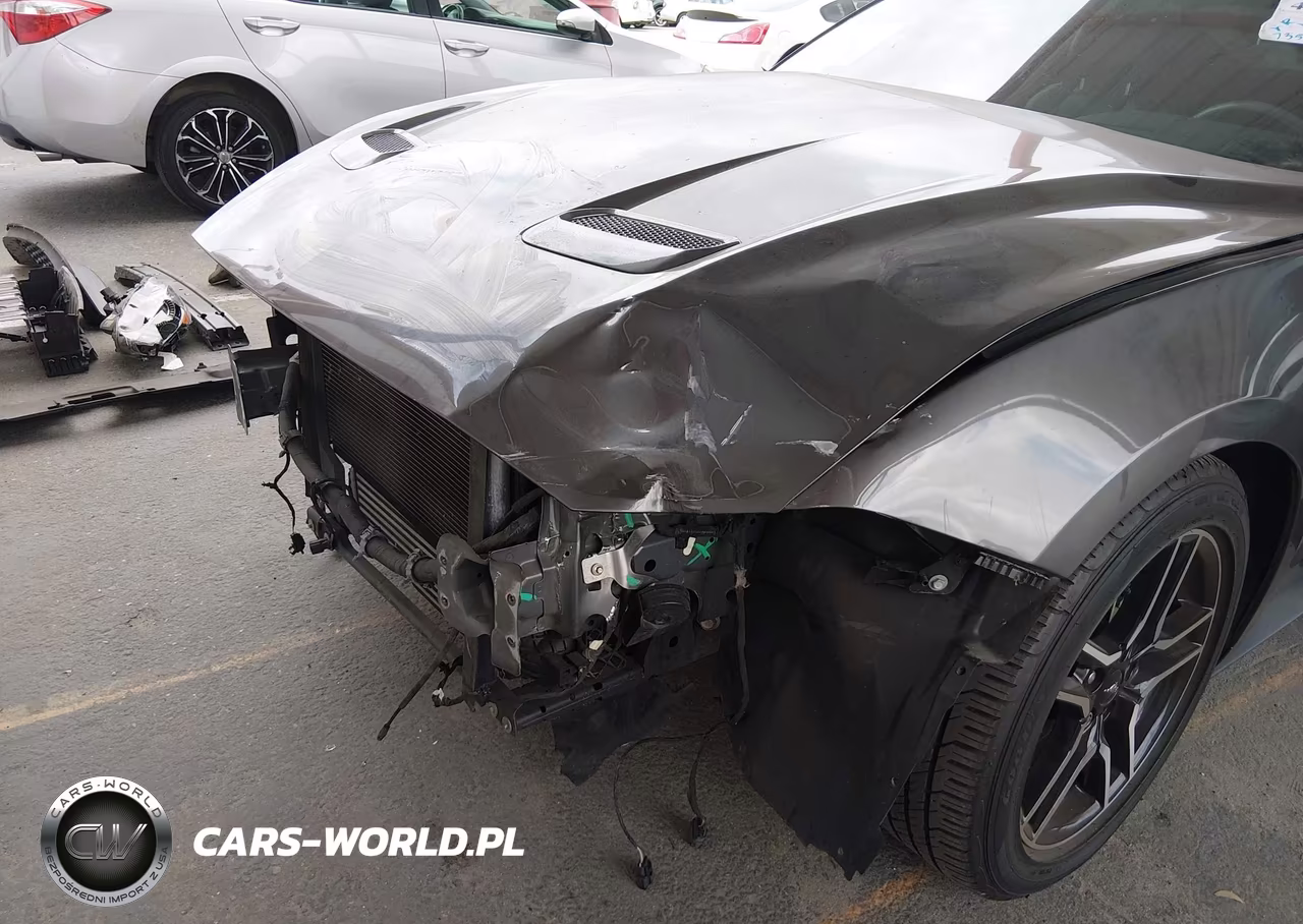 2019 Ford Mustang Ecoboost Premium VIN:1FA6P8TH0K5169095 - 6