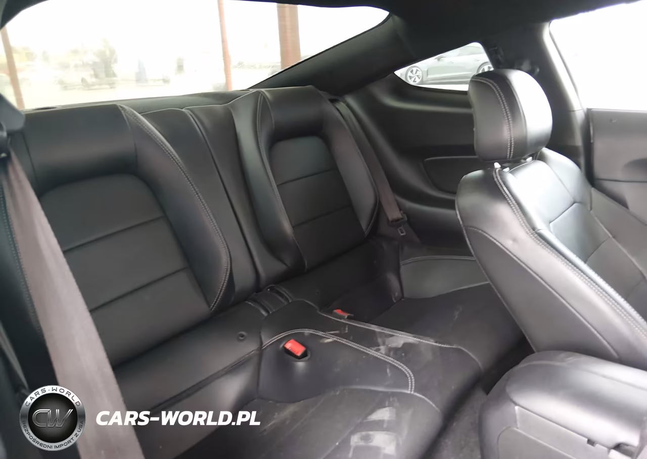 2019 Ford Mustang Ecoboost Premium VIN:1FA6P8TH0K5169095 - 8