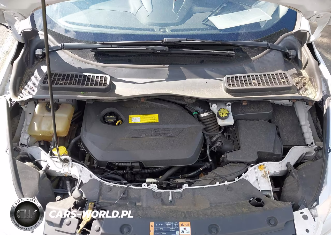 2016 Ford Escape Se VIN:1FMCU0GXXGUC13900 - 10