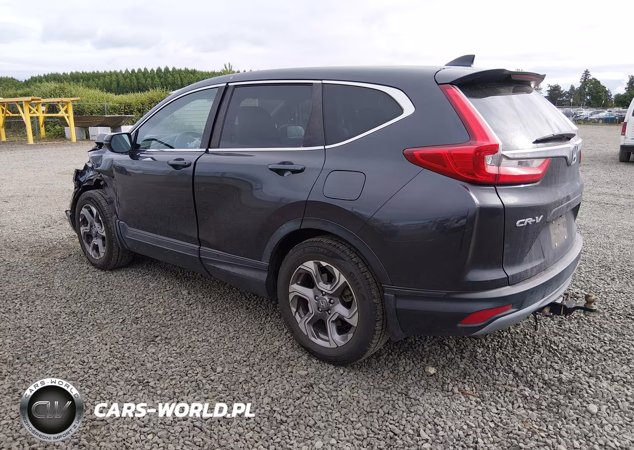 2019 Honda Cr-V Ex-L VIN:5J6RW2H83KA019578 - 3