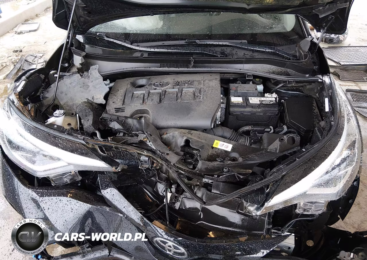 2020 Toyota C-Hr Limited VIN:JTNKHMBX4L1085048 - 10