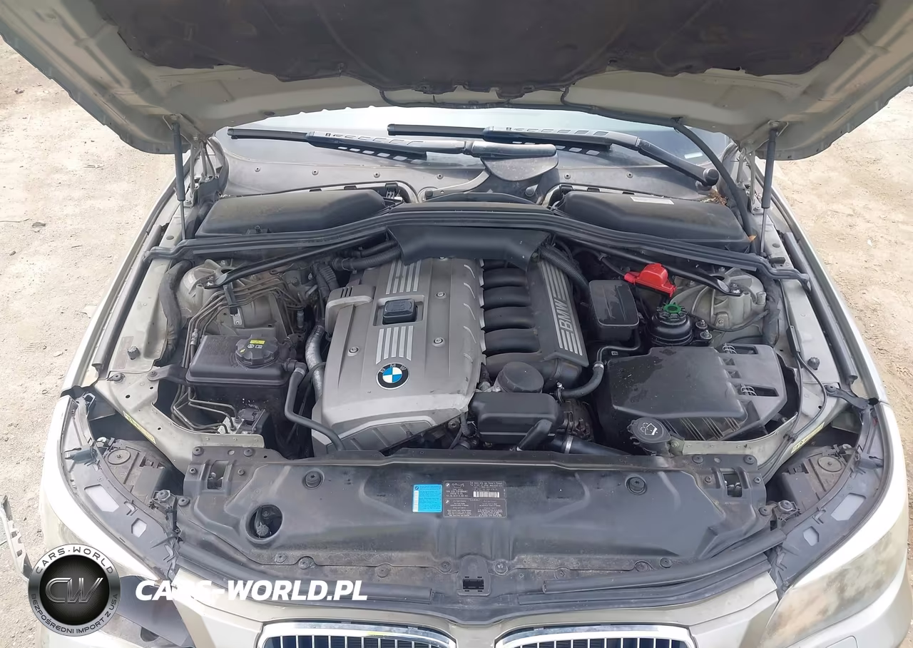 2006 BMW 525I VIN:WBANE53526CK88930 - 10