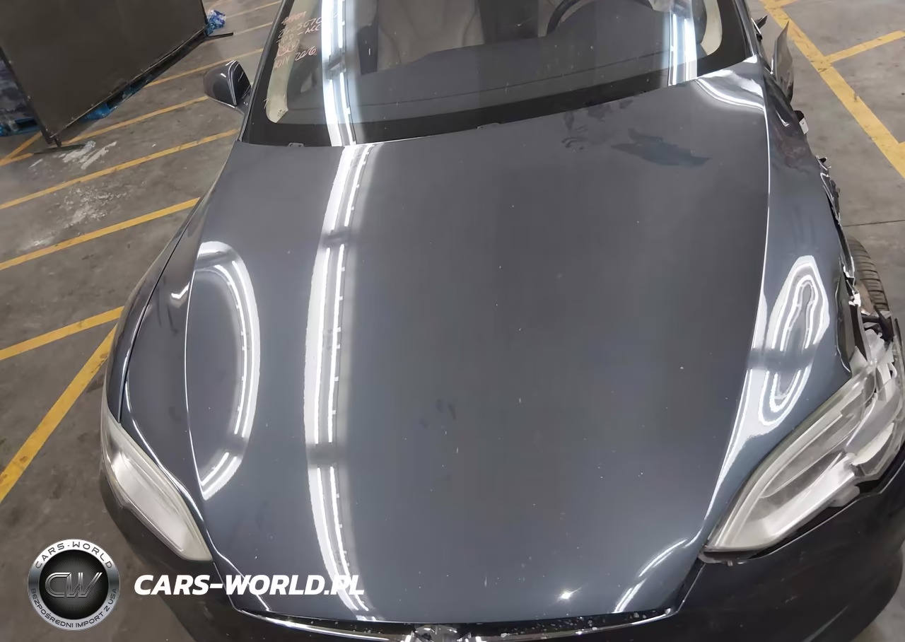 2017 Tesla Model S VIN:5YJSA1E22HF227791 - 10