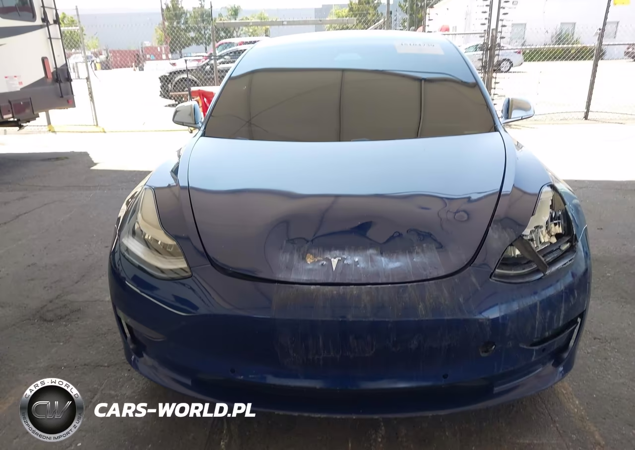 2019 Tesla Model 3 Long Range-Mid Range-Standard Range-Standard Range Plus VIN:5YJ3E1EAXKF416504 - 12