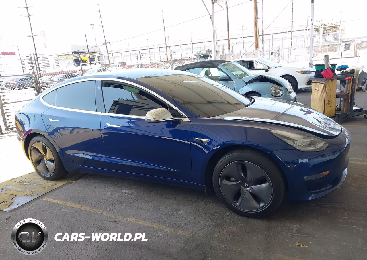 2019 Tesla Model 3 Long Range-Mid Range-Standard Range-Standard Range Plus VIN:5YJ3E1EAXKF416504 - 13