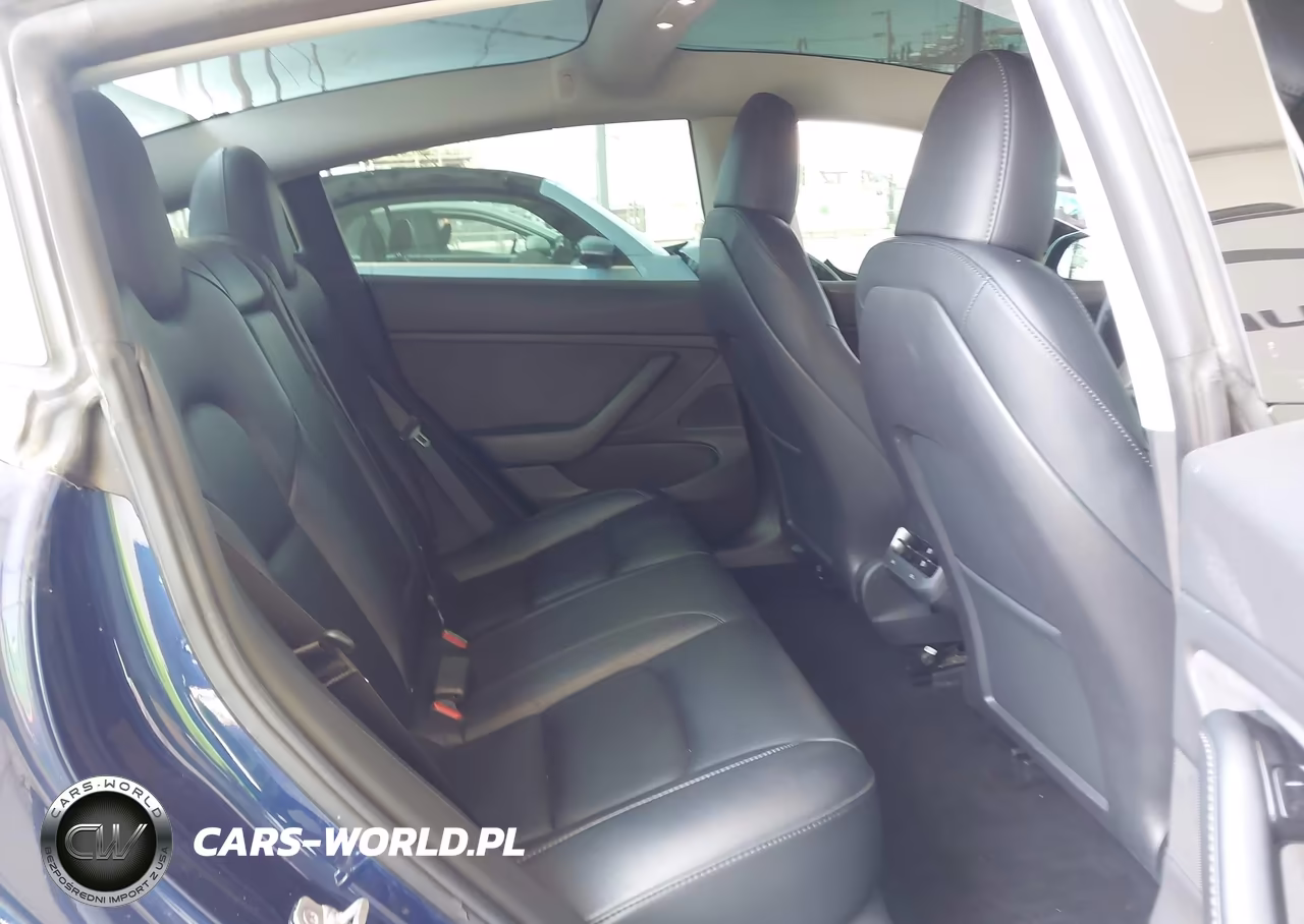 2019 Tesla Model 3 Long Range-Mid Range-Standard Range-Standard Range Plus VIN:5YJ3E1EAXKF416504 - 8
