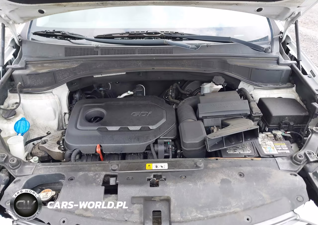 2018 Hyundai Santa Fe Sport 2.4L VIN:5NMZUDLB5JH078176 - 10