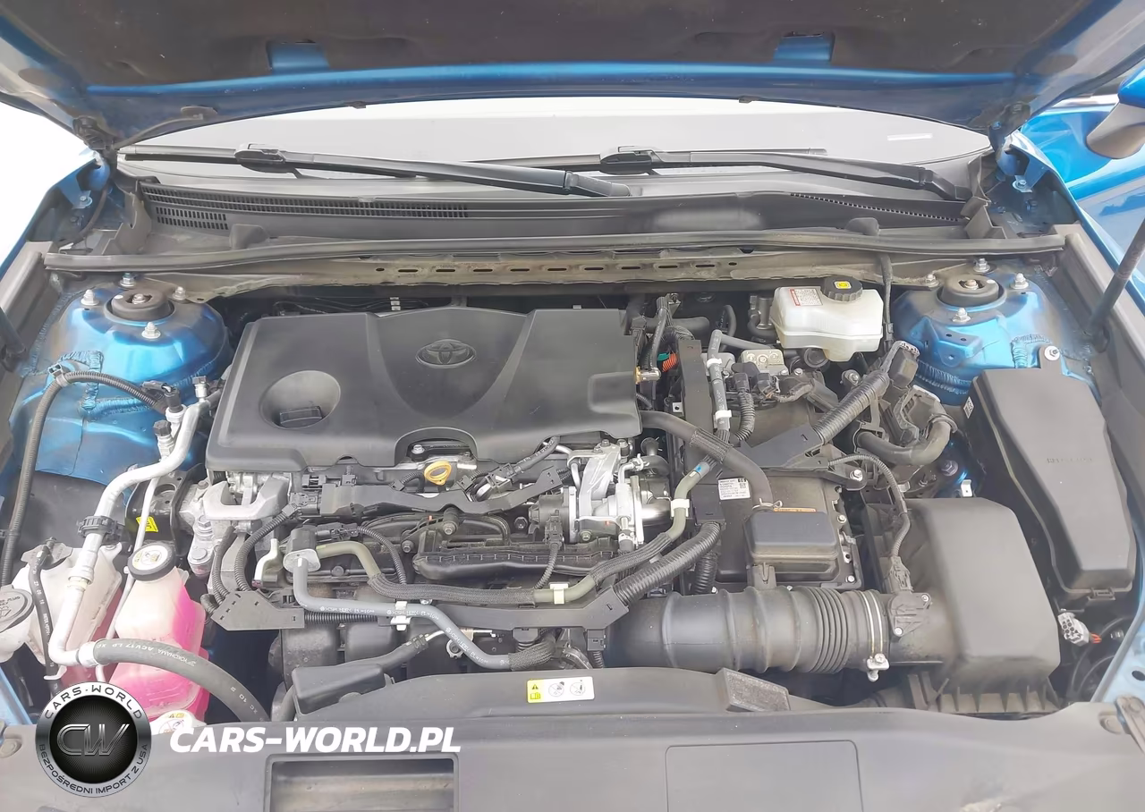 2020 Toyota Camry Le Hybrid VIN:4T1C31AK0LU011731 - 10