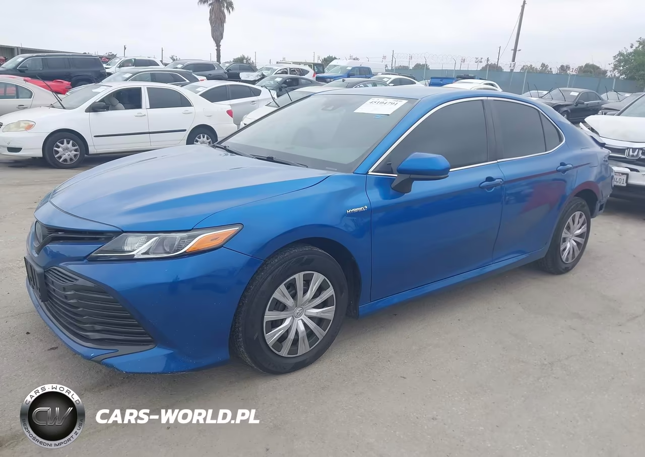 2020 Toyota Camry Le Hybrid VIN:4T1C31AK0LU011731 - 2