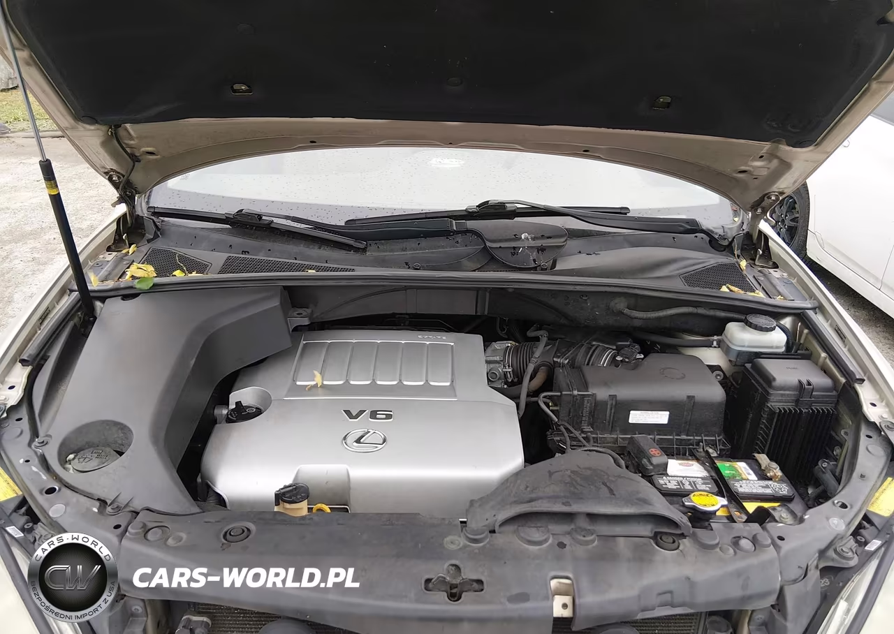 2008 Lexus Rx 350 VIN:JTJHK31U382042689 - 10
