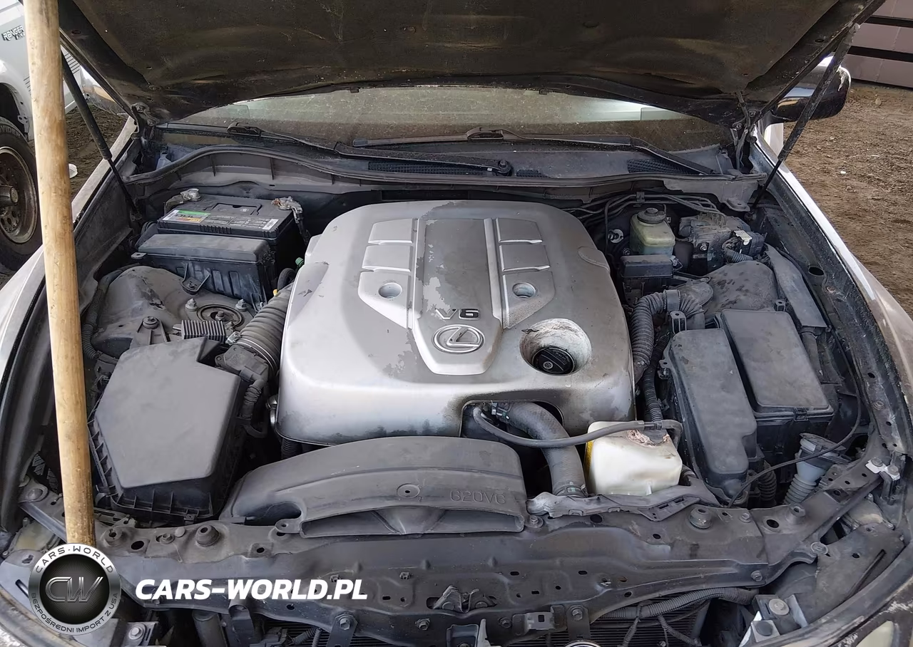 2006 Lexus Gs 300 VIN:JTHBH96S765044294 - 10