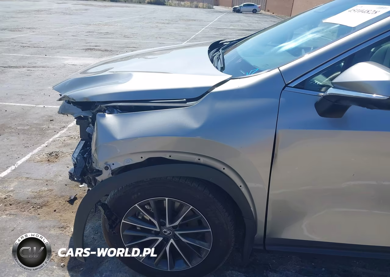 2025 Lexus Nx 350 Premium VIN:2T2GGCEZXSC086439 - 19