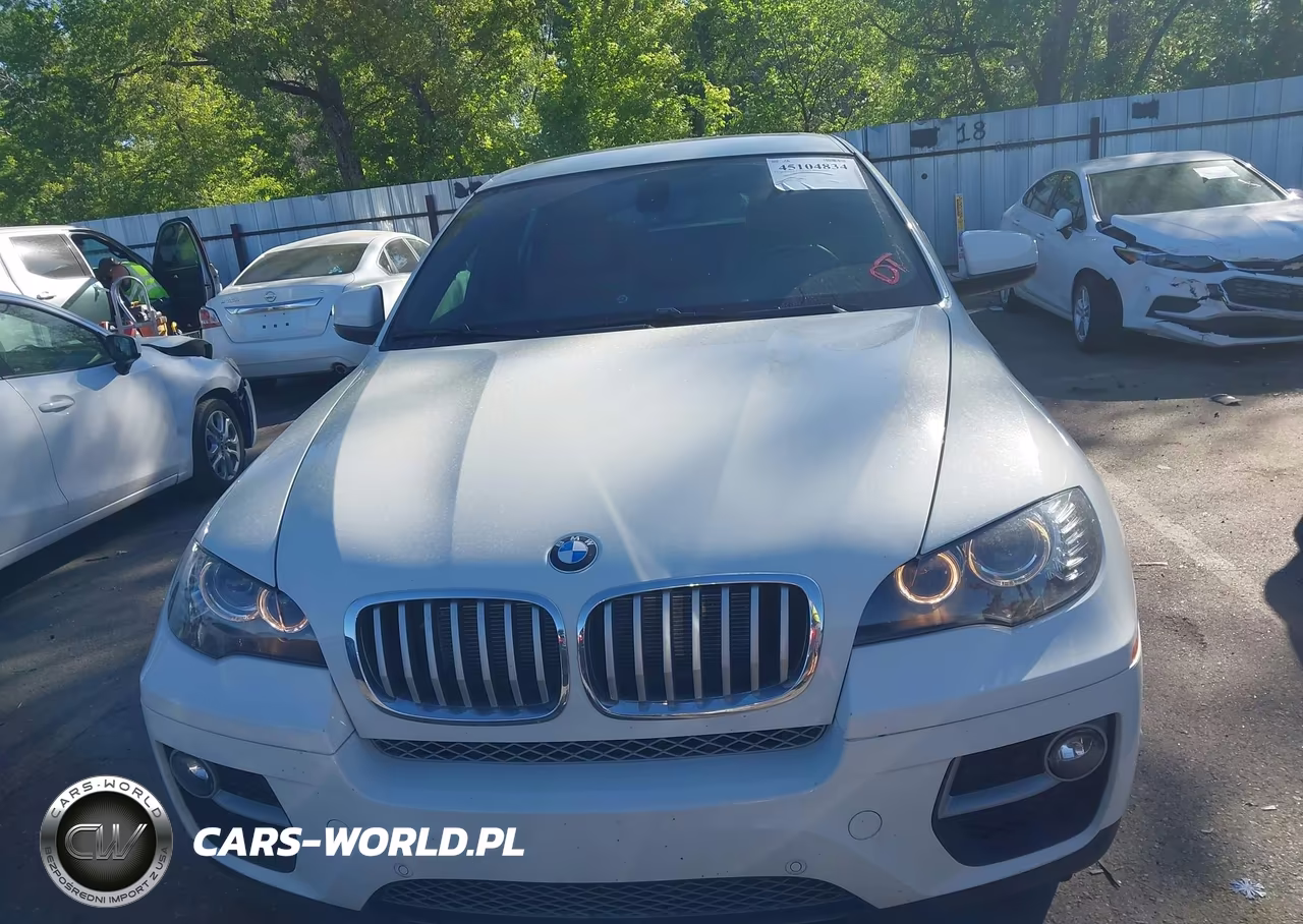 2014 BMW X6 xDrive50I VIN:5UXFG8C52EL592985 - 12