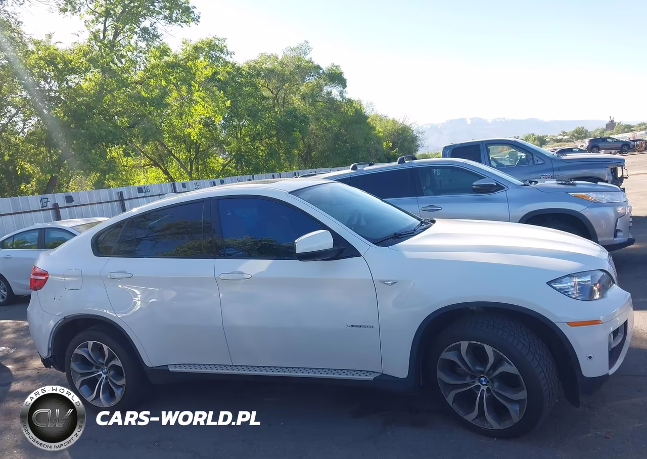 2014 BMW X6 xDrive50I VIN:5UXFG8C52EL592985 - 13