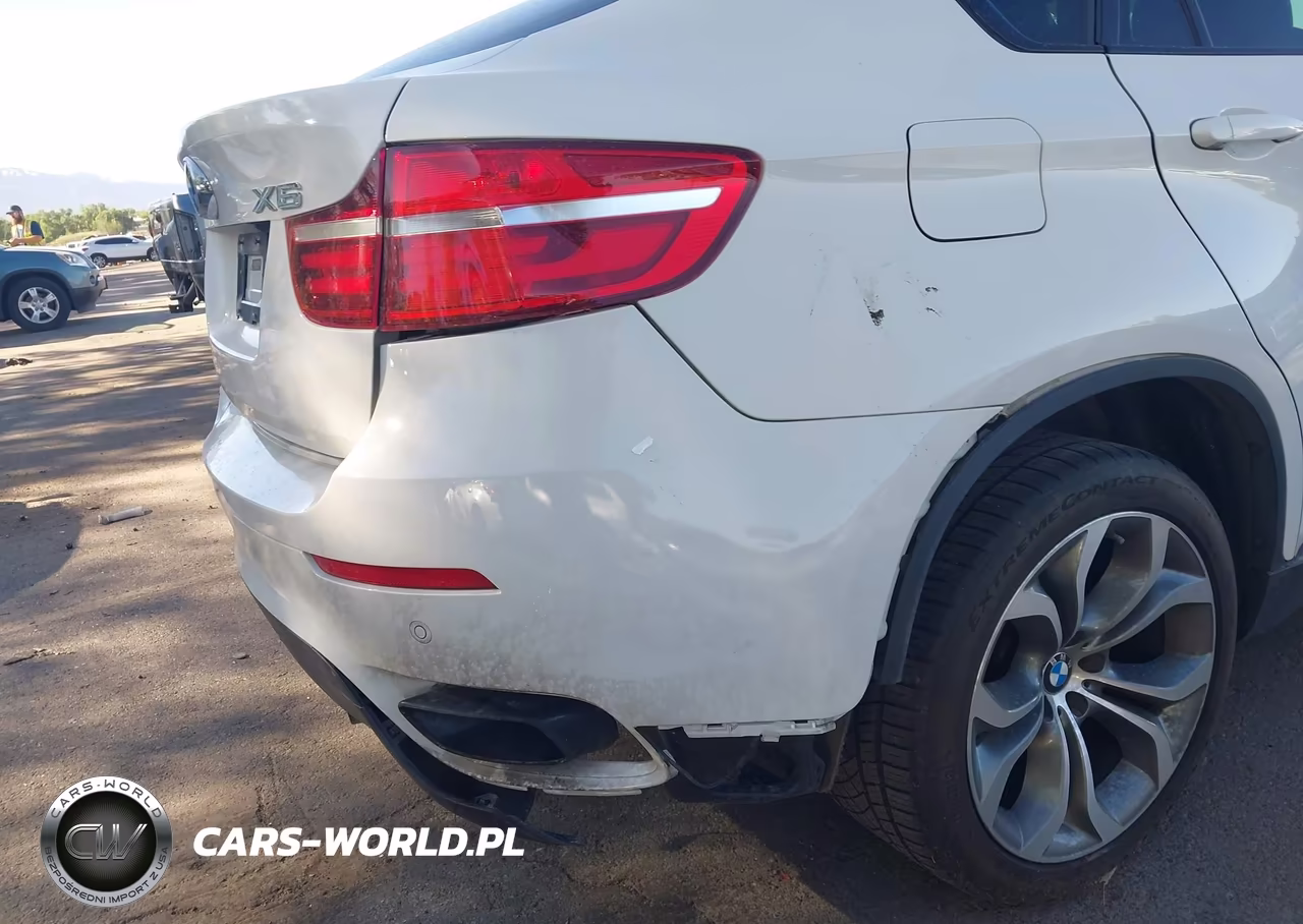 2014 BMW X6 xDrive50I VIN:5UXFG8C52EL592985 - 17