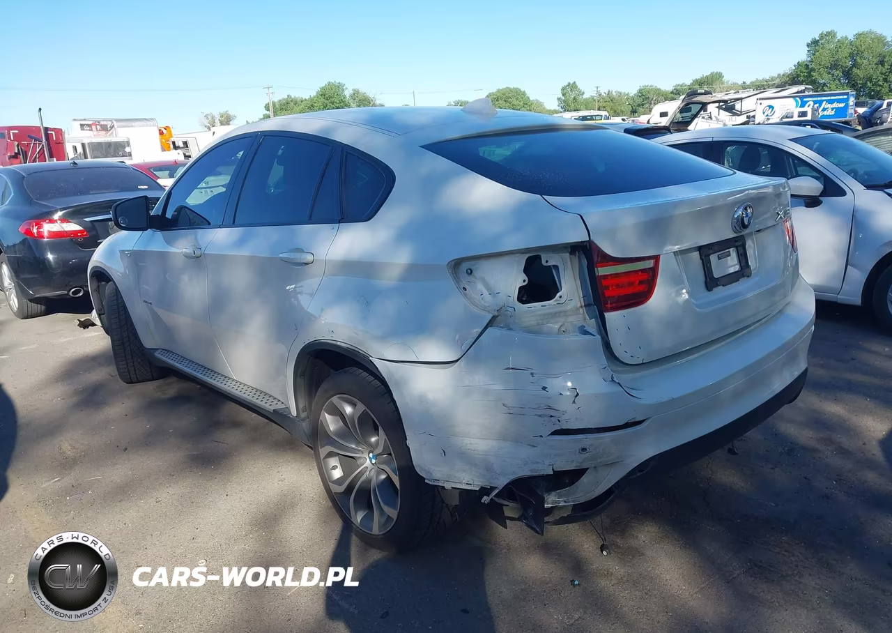 2014 BMW X6 xDrive50I VIN:5UXFG8C52EL592985 - 3