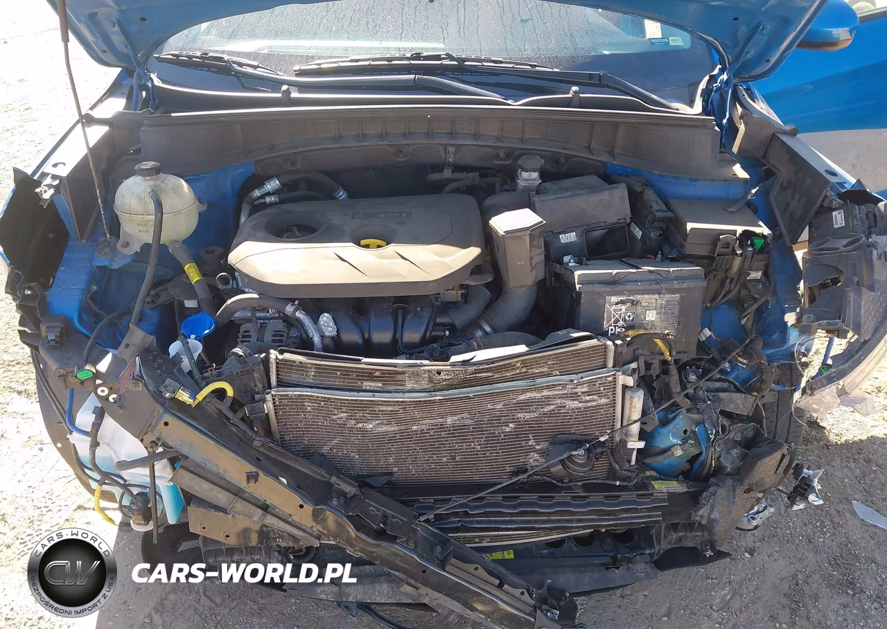 2019 Hyundai Tucson Value VIN:KM8J33A40KU058907 - 10