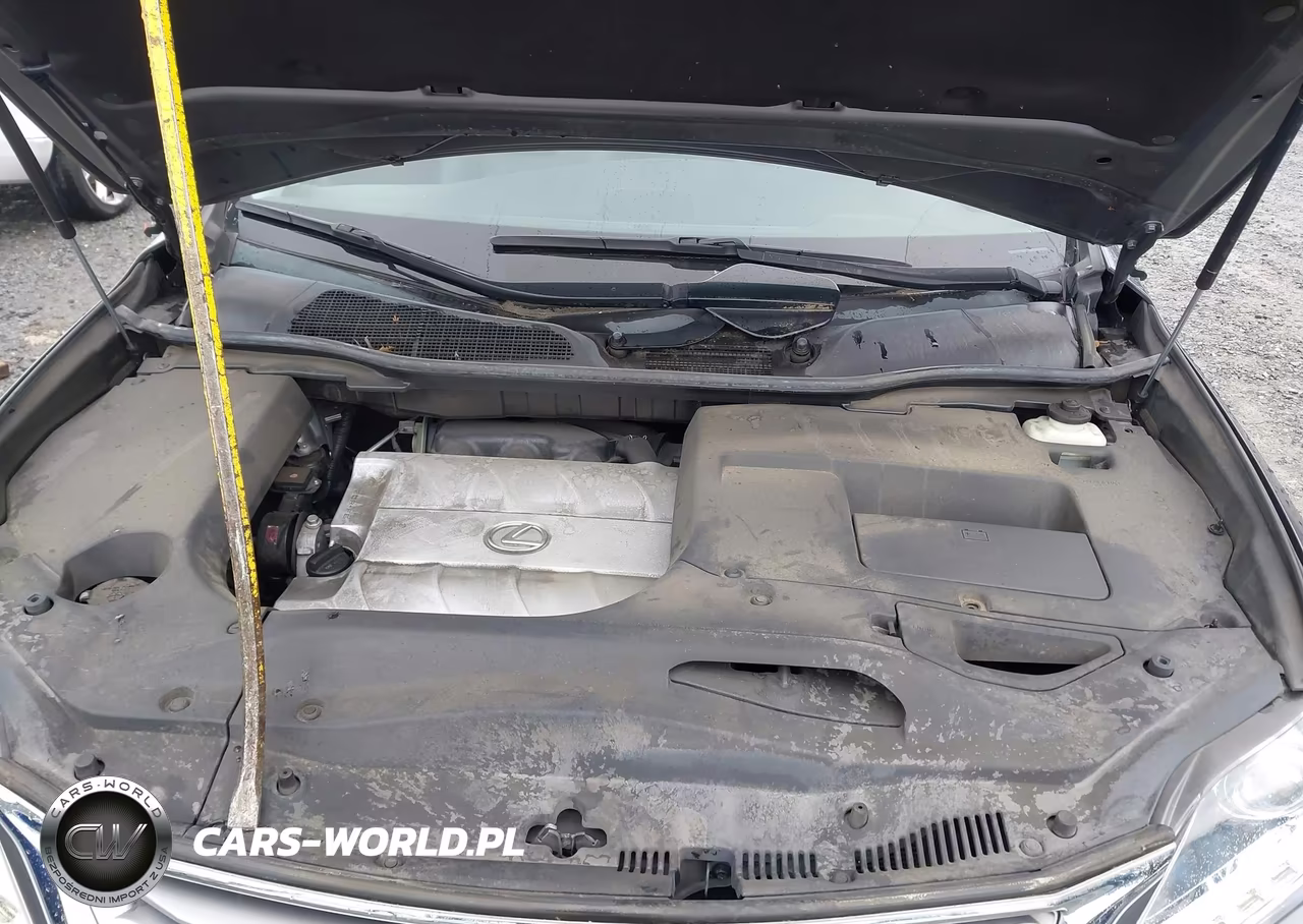 2015 Lexus Rx 350 VIN:2T2BK1BA3FC318607 - 10
