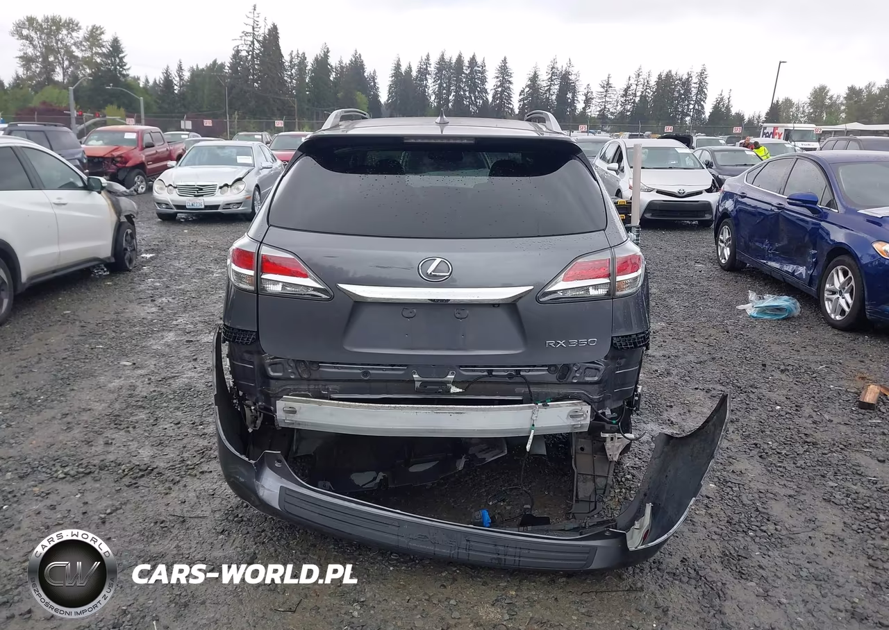 2015 Lexus Rx 350 VIN:2T2BK1BA3FC318607 - 16