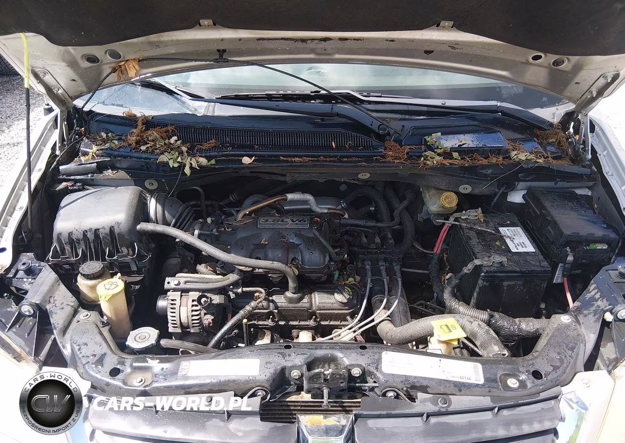 2009 Dodge Grand Caravan Sxt VIN:2D8HN54179R664689 - 10