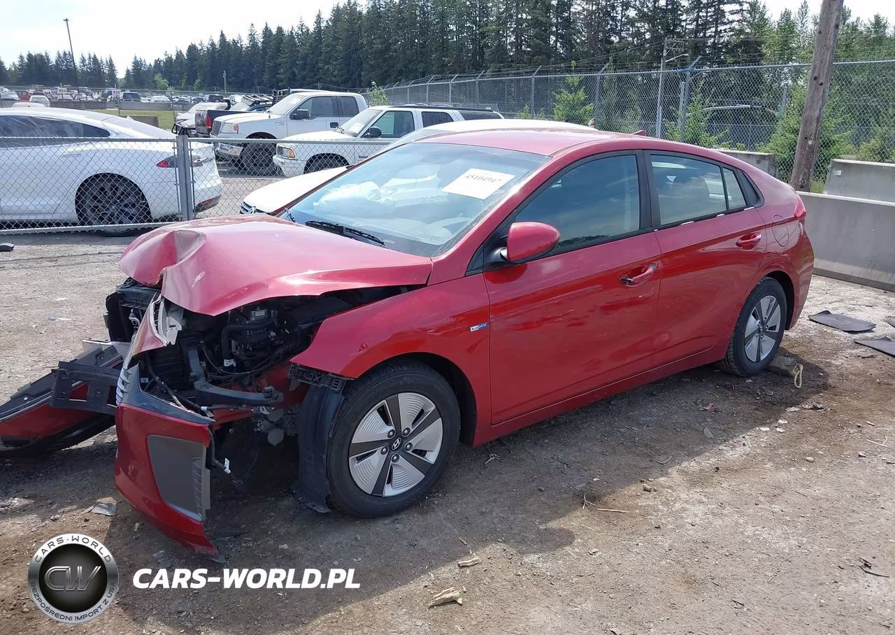 2019 Hyundai Ioniq Hybrid Blue VIN:KMHC65LC3KU171024 - 2