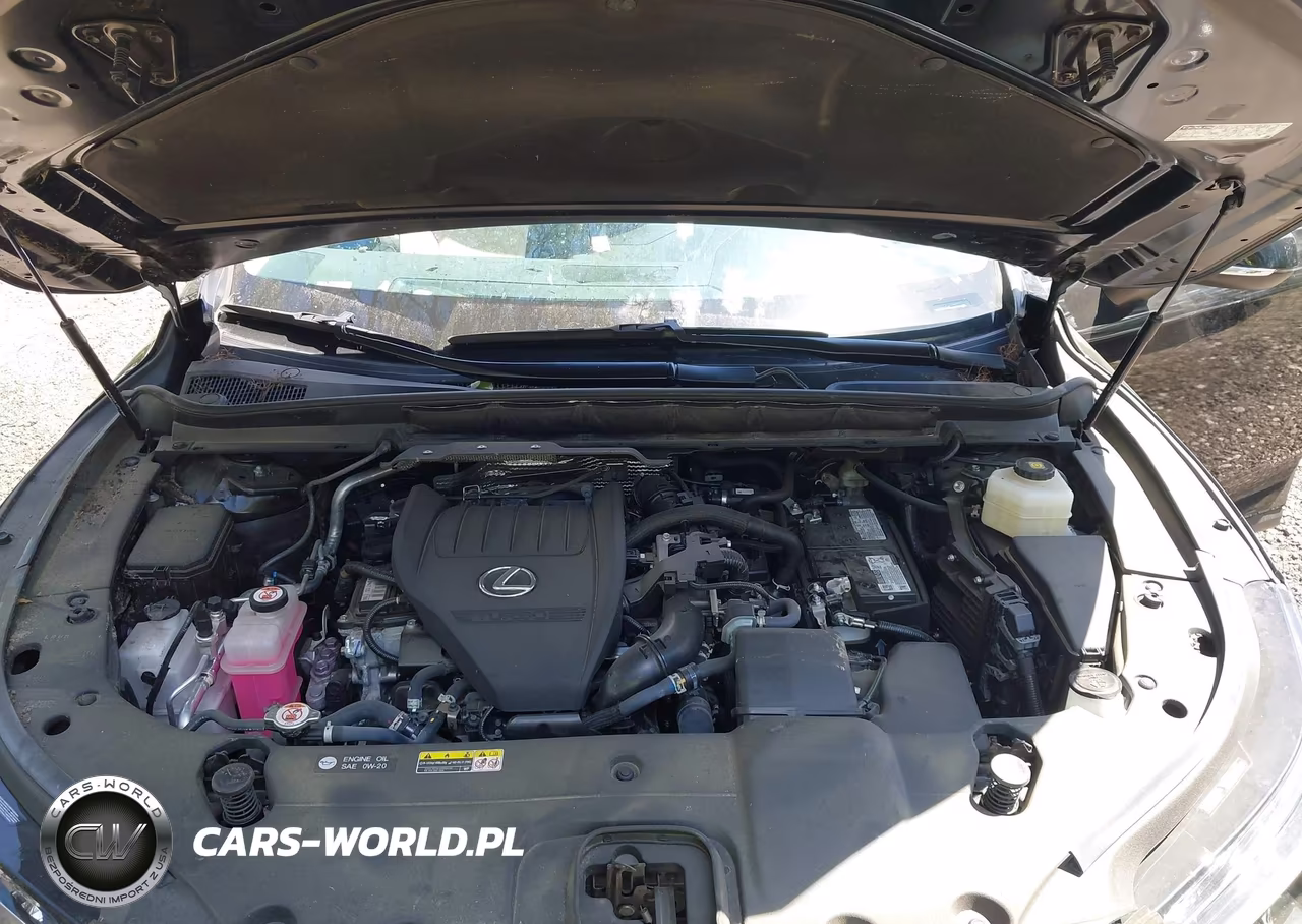 2024 Lexus Rx 350 Premium VIN:2T2BAMCA7RC049857 - 10