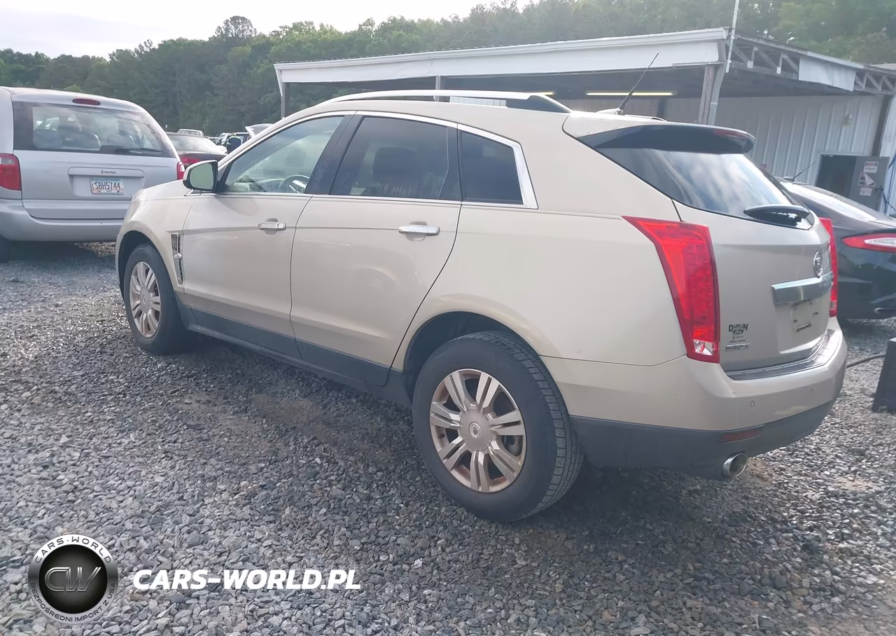 2010 Cadillac Srx Luxury Collection VIN:3GYFNAEY3AS646900 - 3