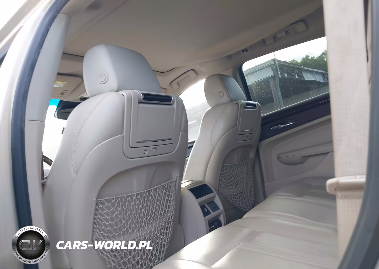 2010 Cadillac Srx Luxury Collection VIN:3GYFNAEY3AS646900 - 8
