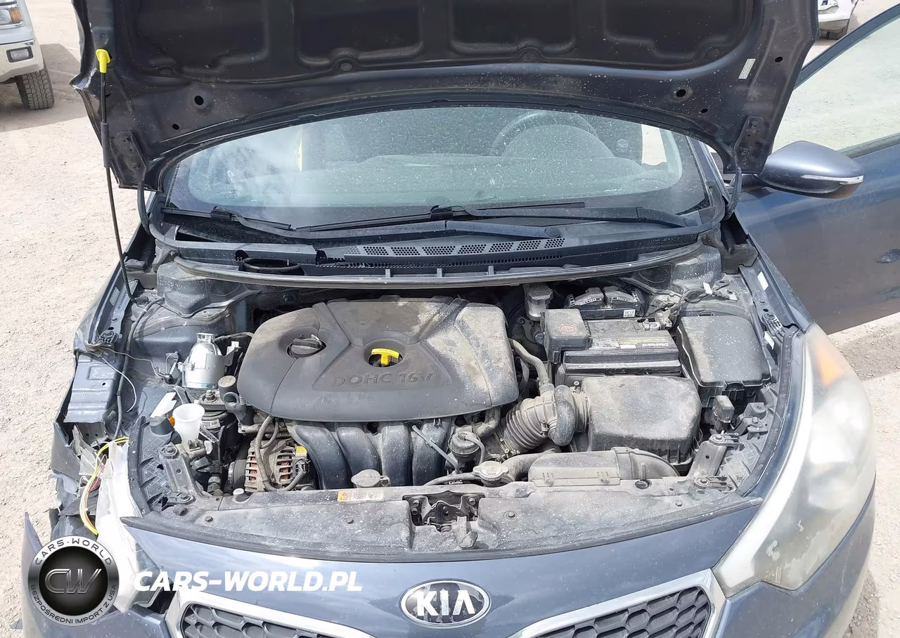 2016 Kia Forte Lx VIN:KNAFX4A67G5462727 - 10