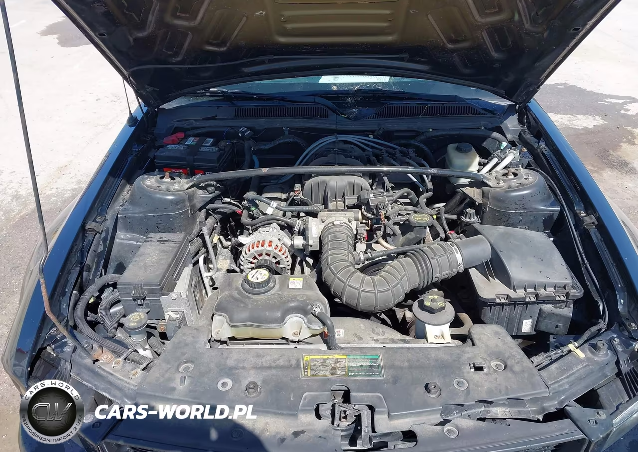 2006 Ford Mustang V6 VIN:1ZVFT80N765167945 - 10