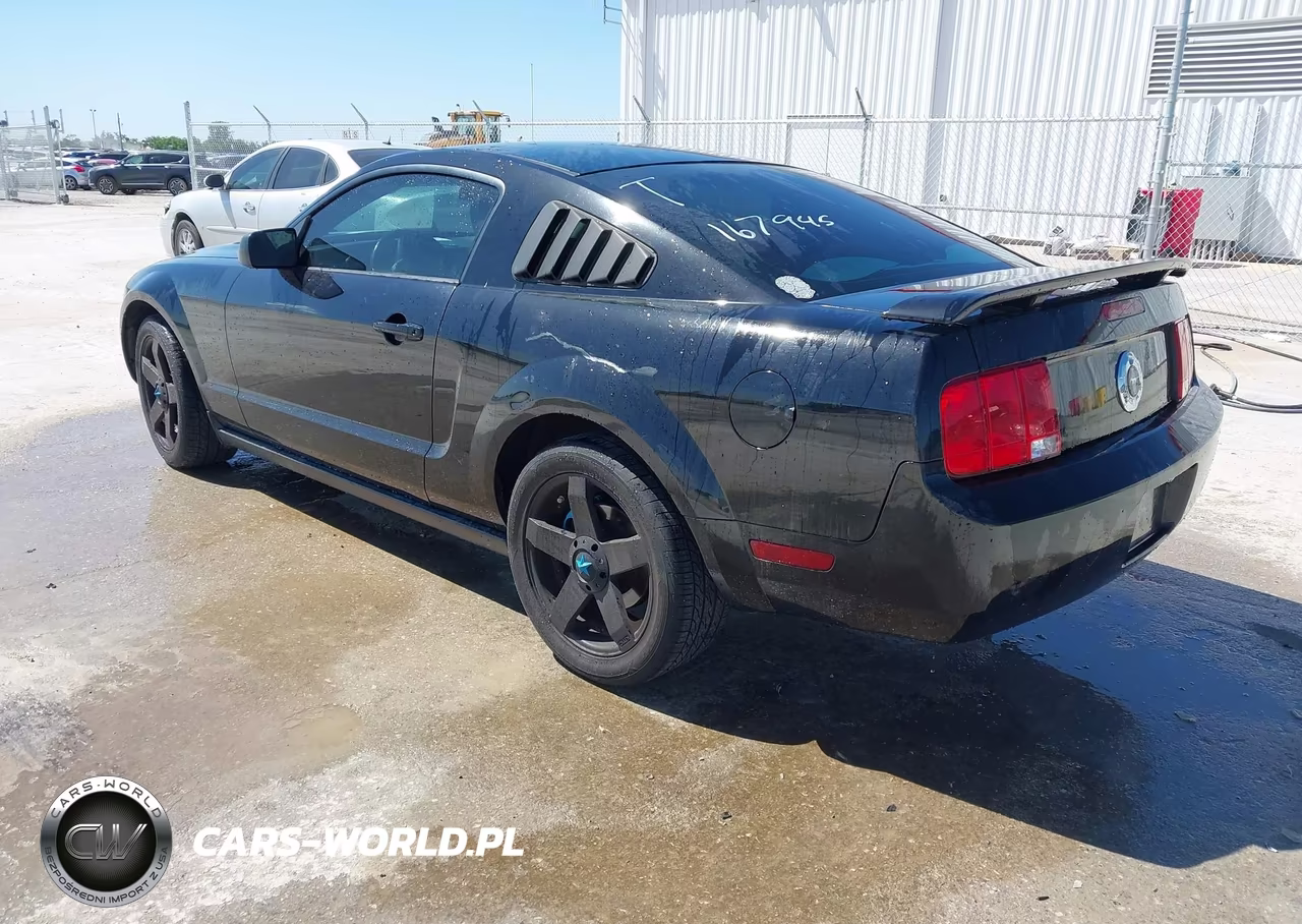 2006 Ford Mustang V6 VIN:1ZVFT80N765167945 - 3