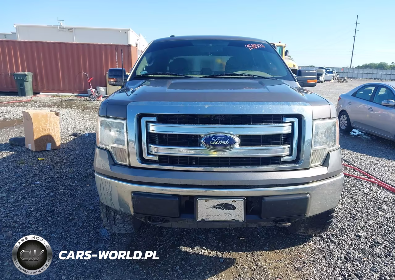 2013 Ford F-150 Xlt VIN:1FTFW1EF5DKG36189 - 12