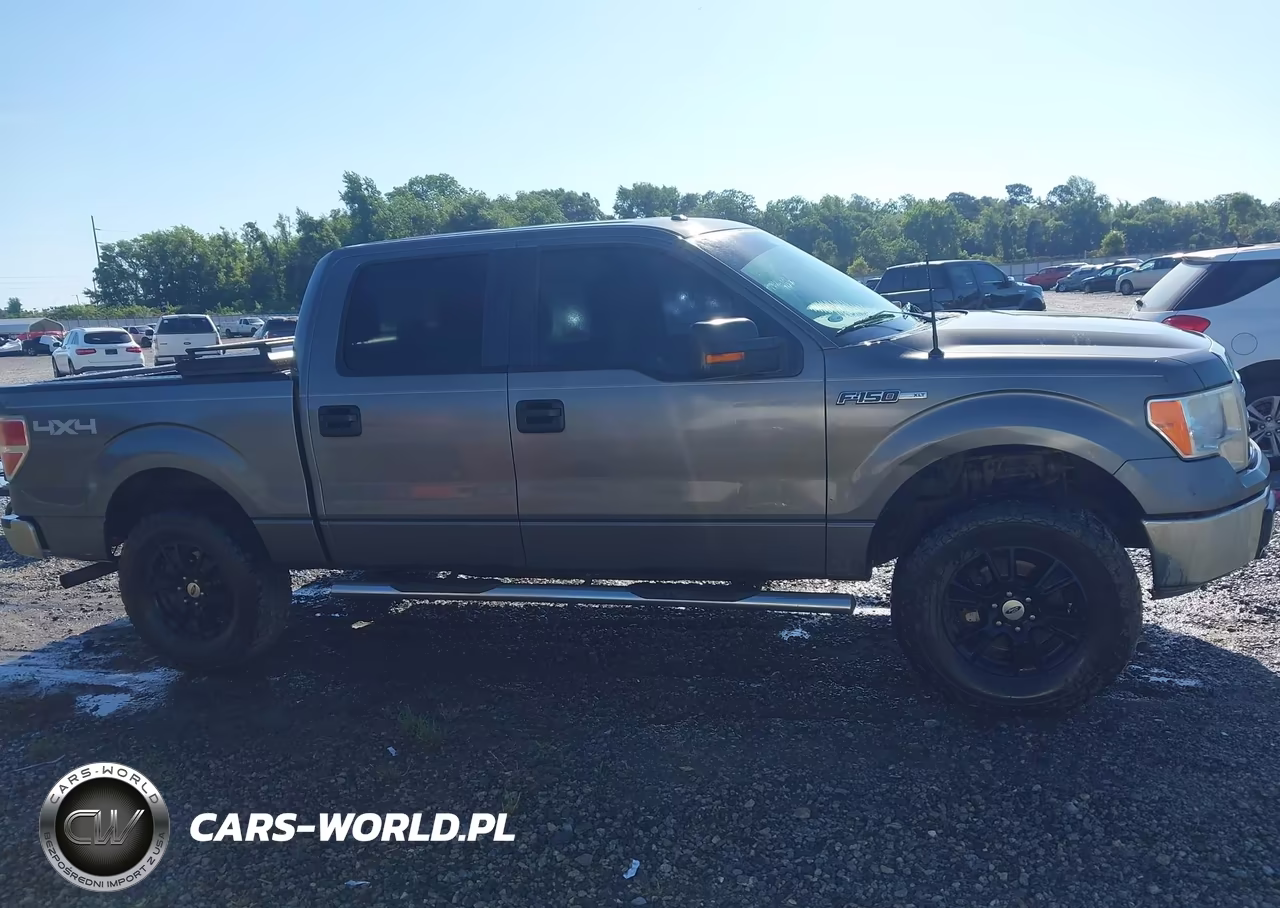 2013 Ford F-150 Xlt VIN:1FTFW1EF5DKG36189 - 13