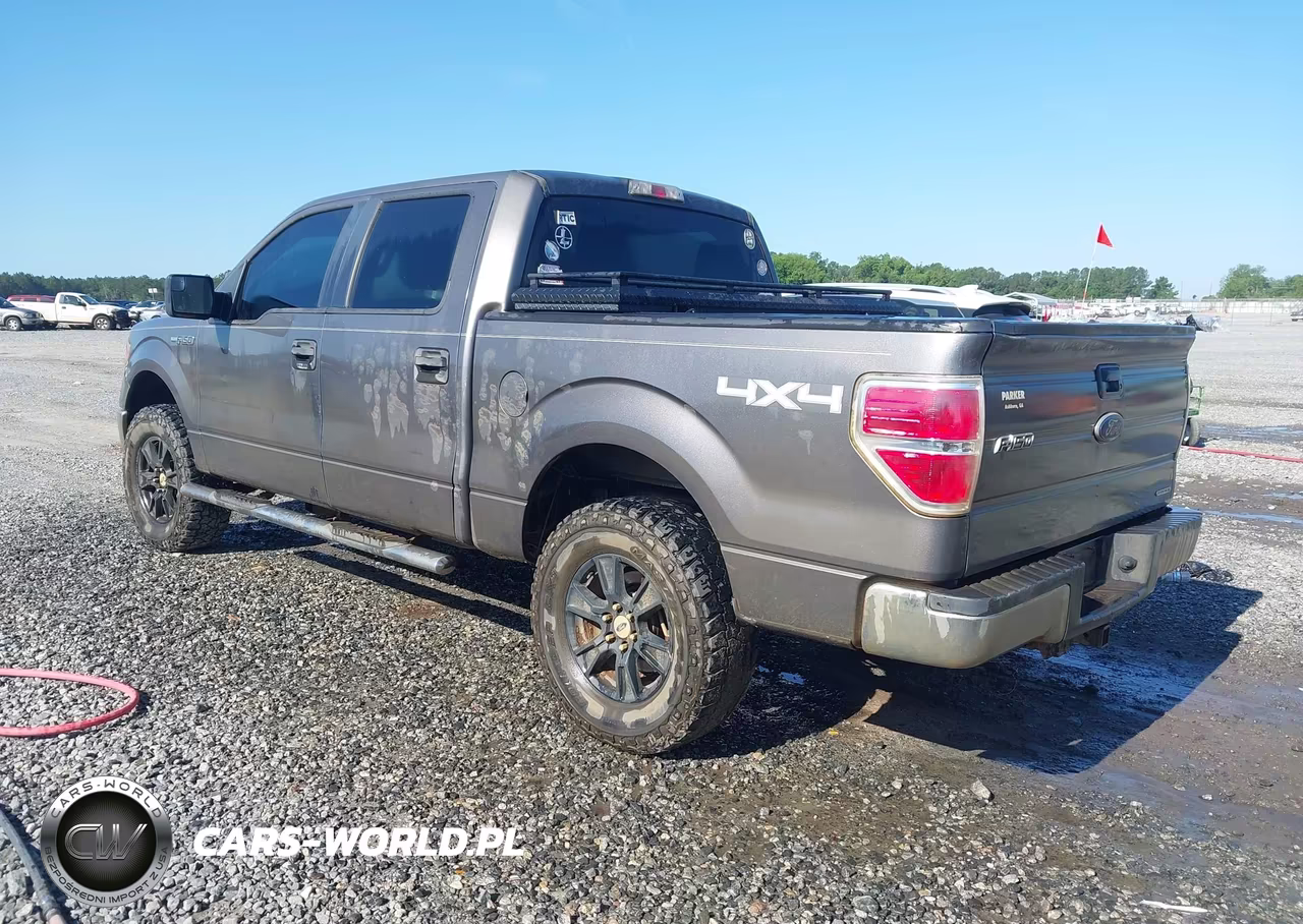 2013 Ford F-150 Xlt VIN:1FTFW1EF5DKG36189 - 3