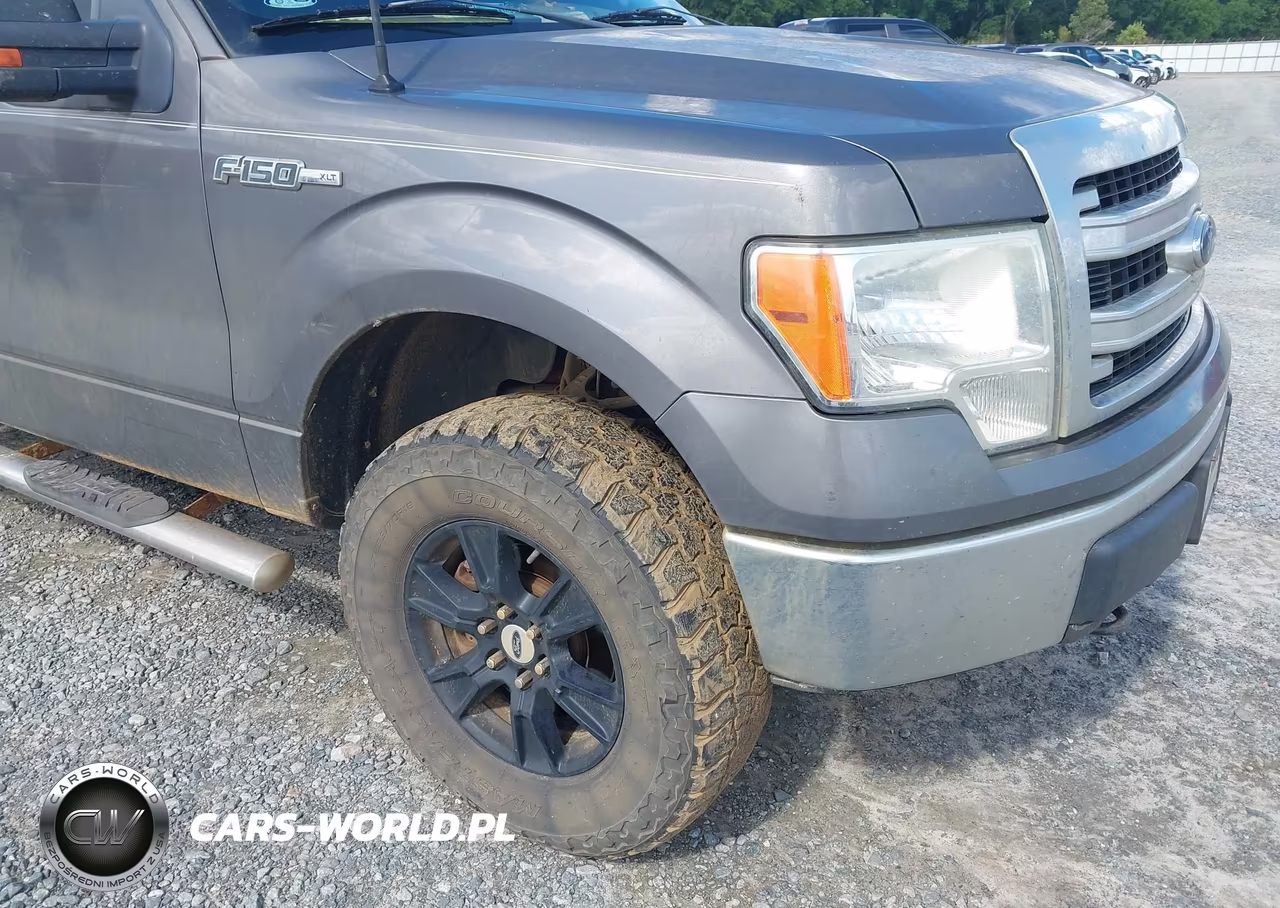 2013 Ford F-150 Xlt VIN:1FTFW1EF5DKG36189 - 6