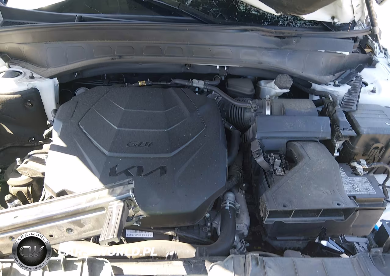 2023 Kia Telluride S VIN:5XYP6DGC0PG400777 - 10