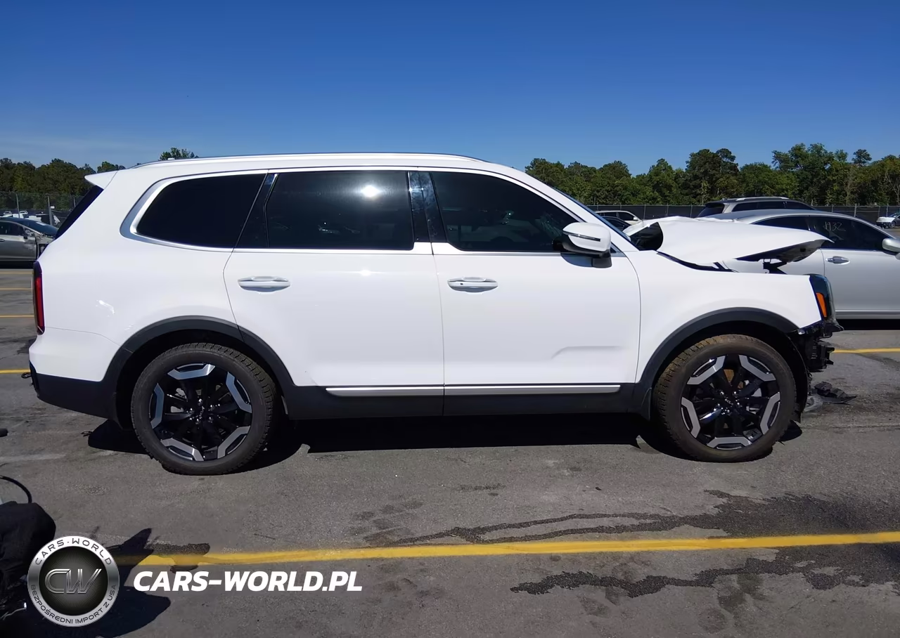 2023 Kia Telluride S VIN:5XYP6DGC0PG400777 - 13