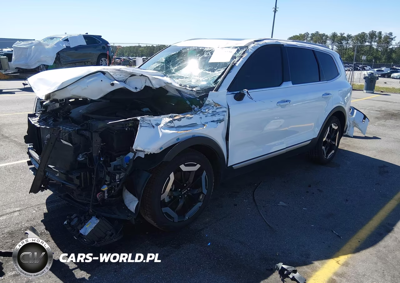 2023 Kia Telluride S VIN:5XYP6DGC0PG400777 - 2