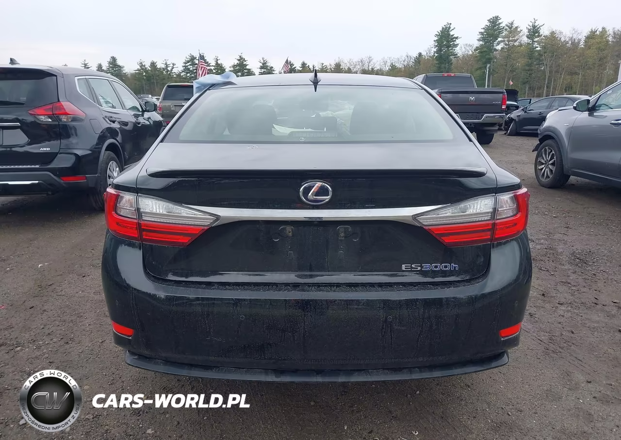 2016 Lexus Es 300H VIN:JTHBW1GG4G2102978 - 17