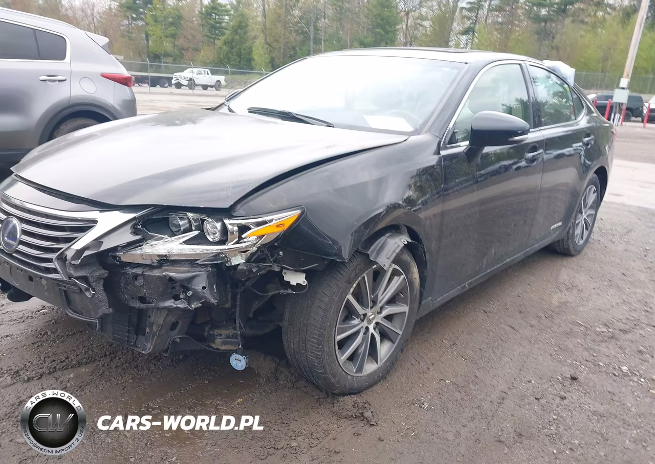2016 Lexus Es 300H VIN:JTHBW1GG4G2102978 - 19