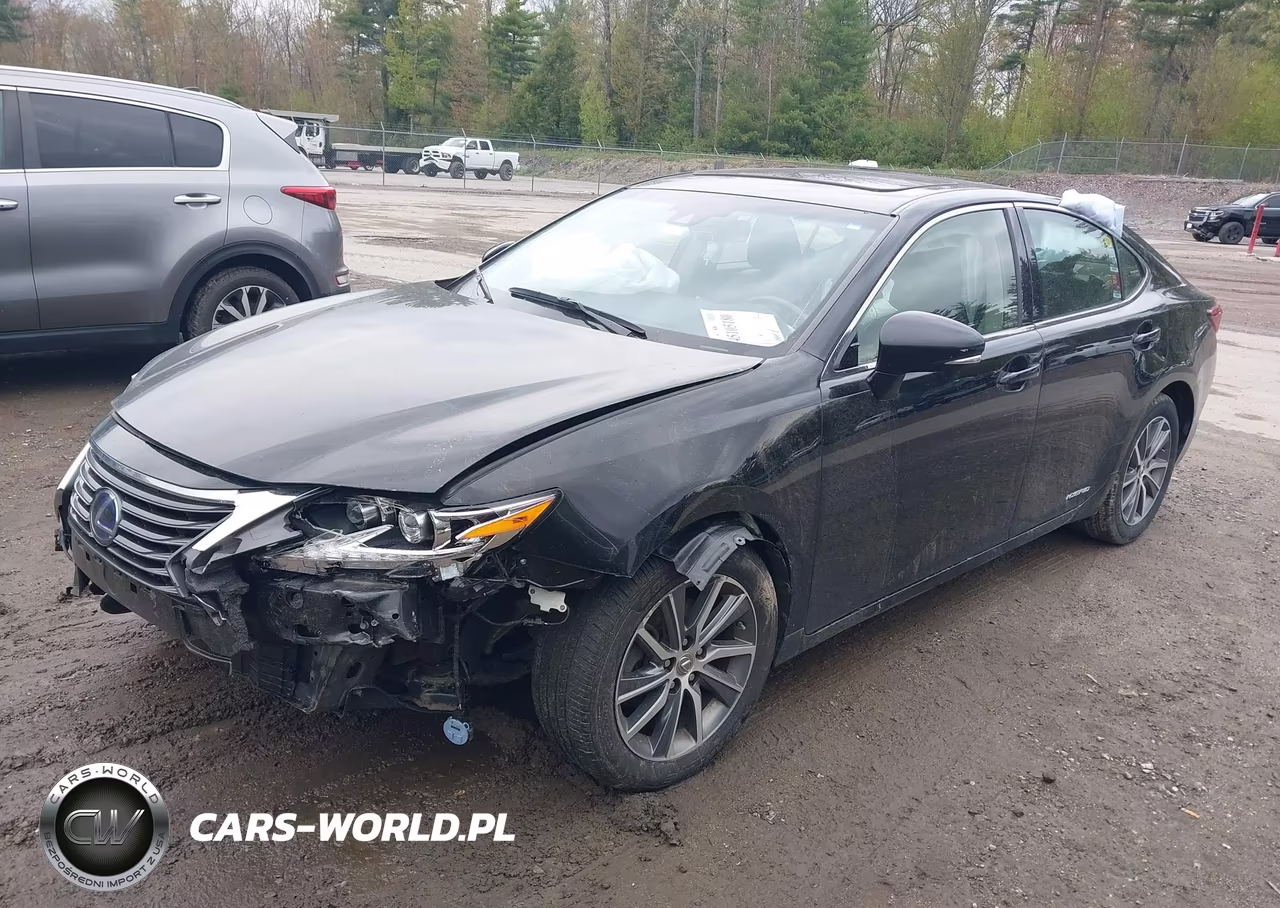 2016 Lexus Es 300H VIN:JTHBW1GG4G2102978 - 20