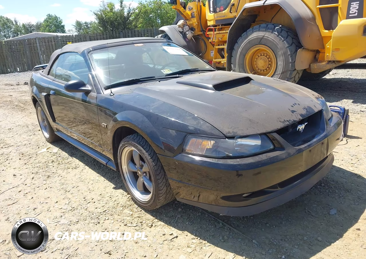 Główne zdjęcie 2001 Ford Mustang Gt