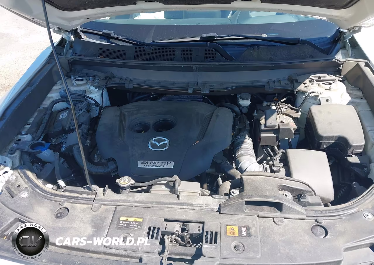 2019 Mazda Cx-9 Grand Touring VIN:JM3TCBDYXK0301725 - 10