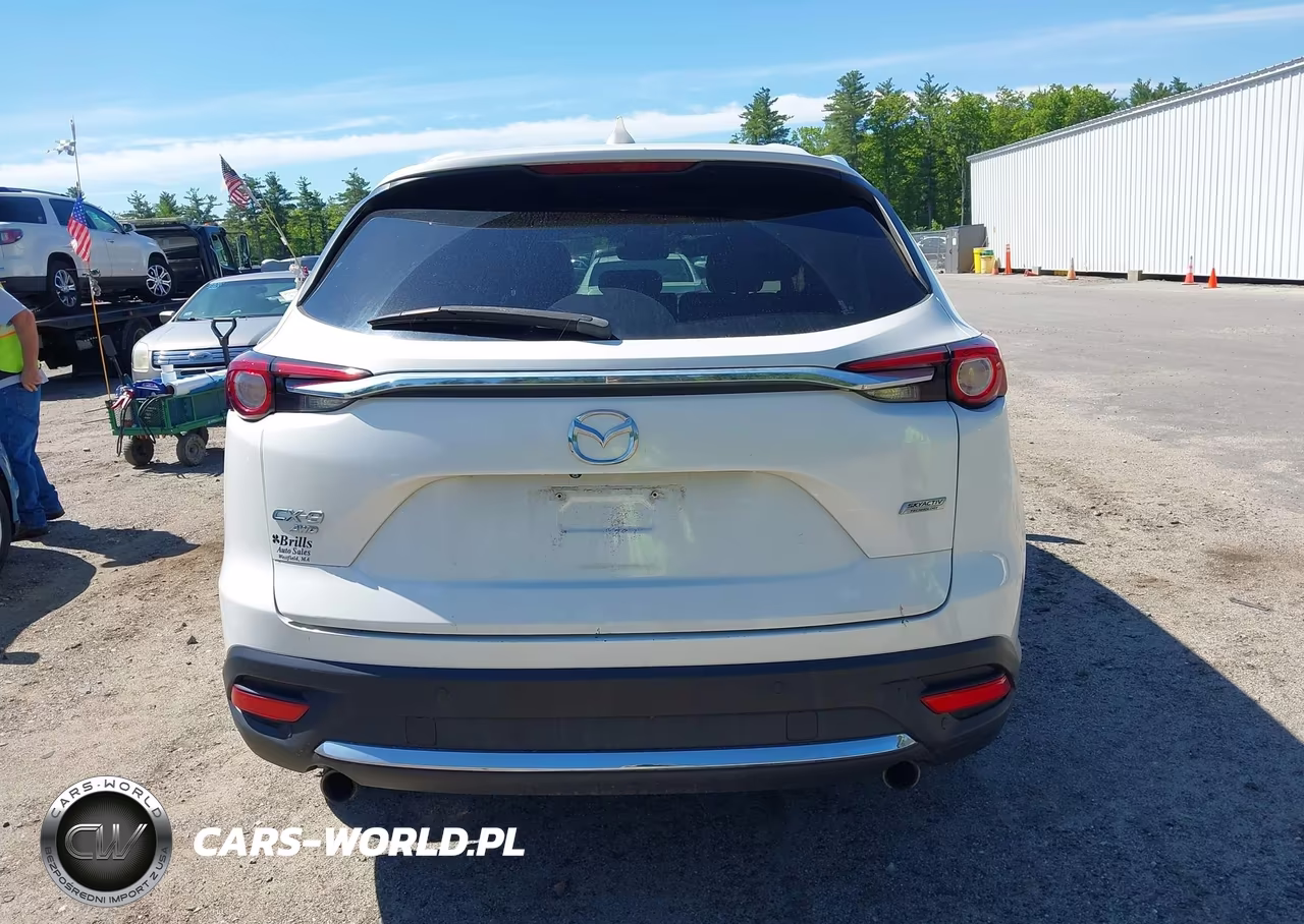 2019 Mazda Cx-9 Grand Touring VIN:JM3TCBDYXK0301725 - 17