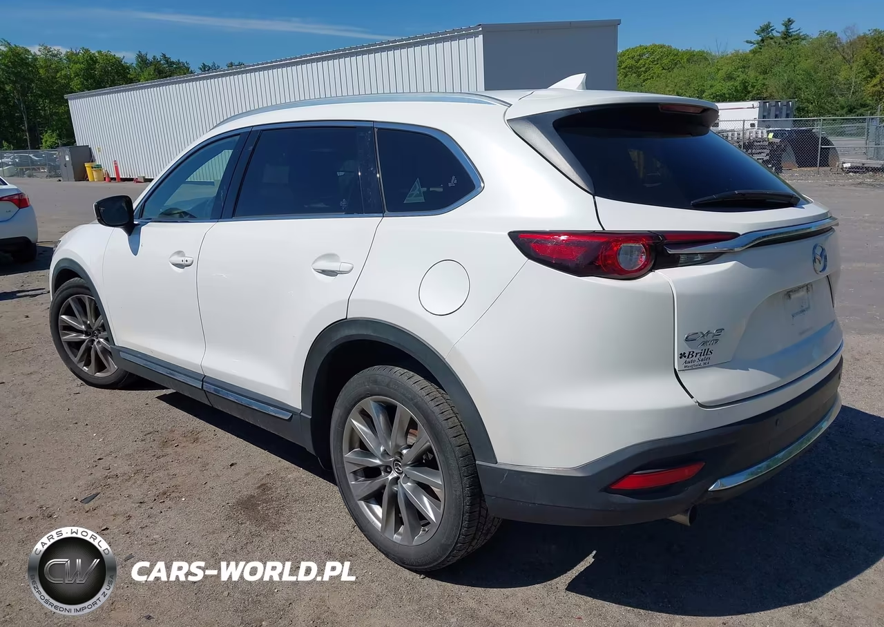 2019 Mazda Cx-9 Grand Touring VIN:JM3TCBDYXK0301725 - 3