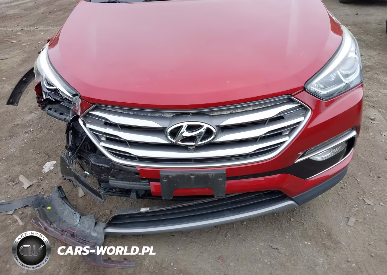 2017 Hyundai Santa Fe Sport 2.4L VIN:5XYZUDLB4HG381177 - 12