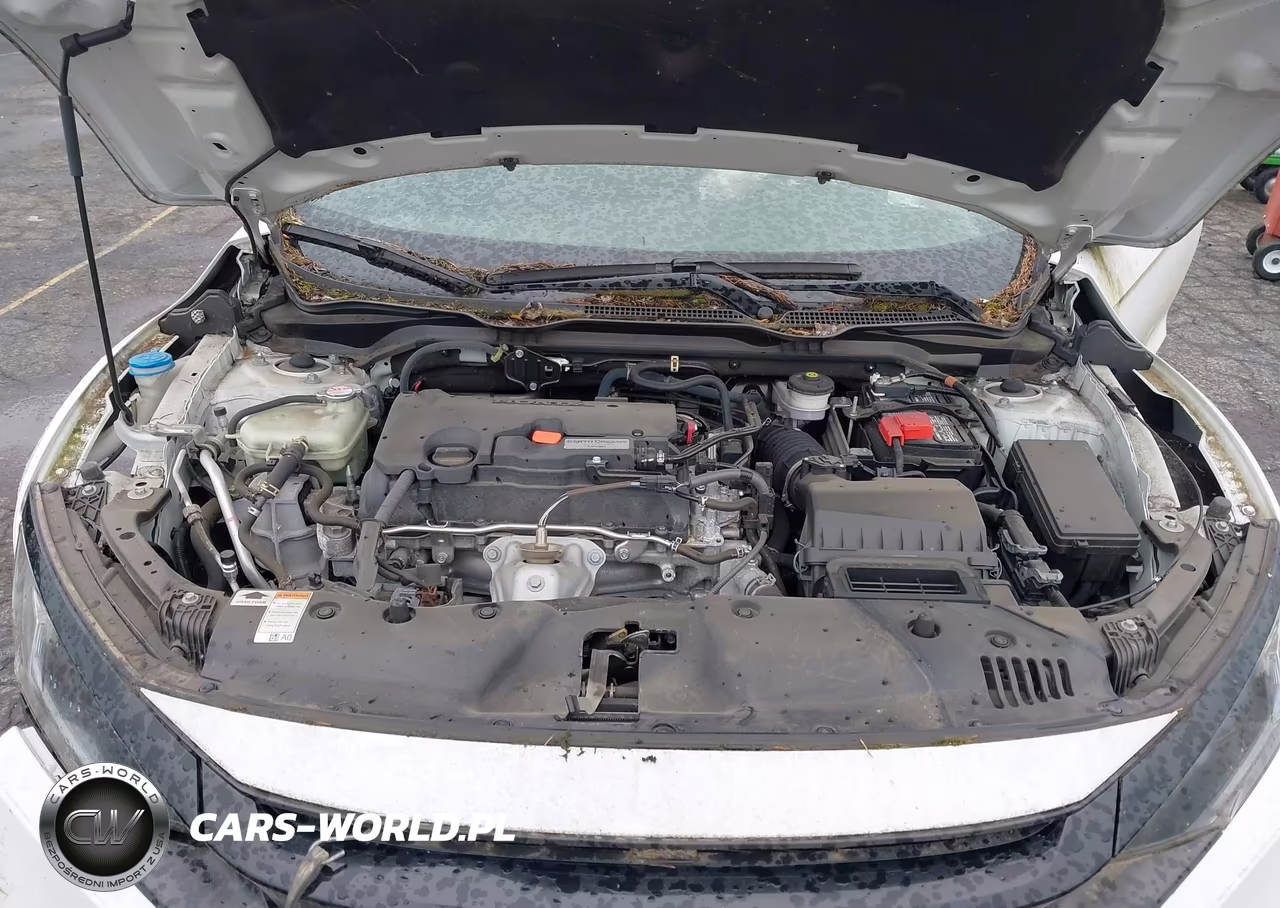 2019 Honda Civic Lx VIN:2HGFC4B67KH309605 - 10